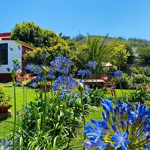 Casa Del Mir Tegueste
